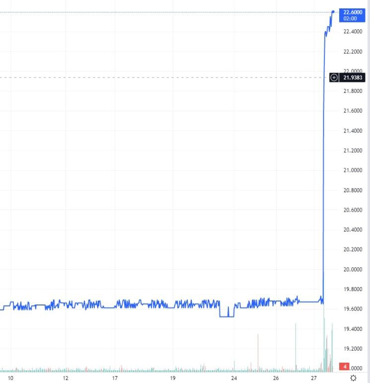 Египетский фунт менее чем за час упал к доллару на 13%