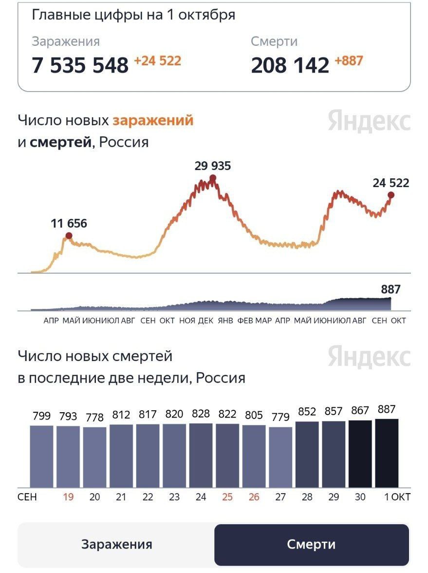 В России новый рекорд по числу погибших от коронавируса за сутки с начала пандемии — скончались 887 человек