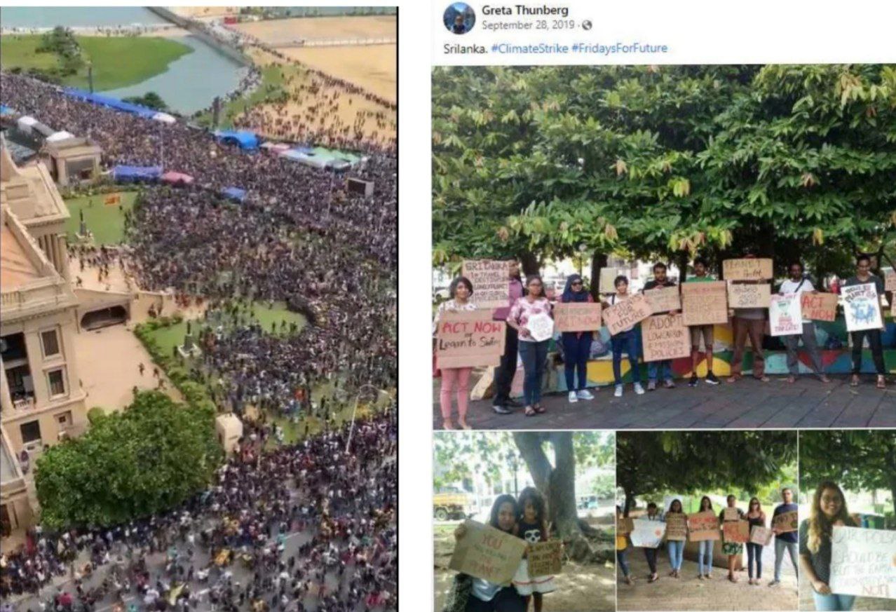Приезд Гретты Тунберг и последовавшая попытка перехода на органическое земледелие в Шри Ланке стали одним из триггеров для последовавших митингов и отставке правящей верхушки
