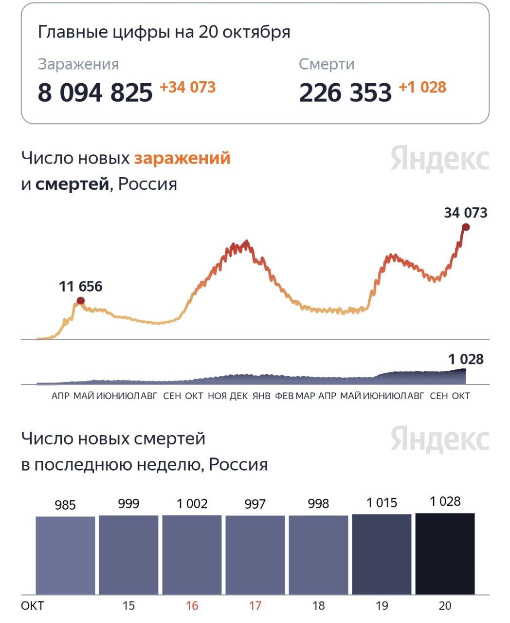 Новый рекорд по смертям от коронавируса - 1028 человек за сутки