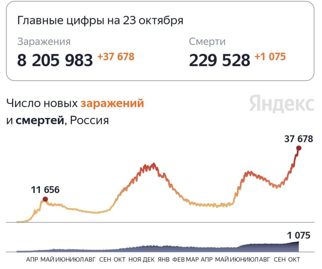 В России за прошедшие сутки зарегистрировали 37 678 случаев заражения коронавирусом