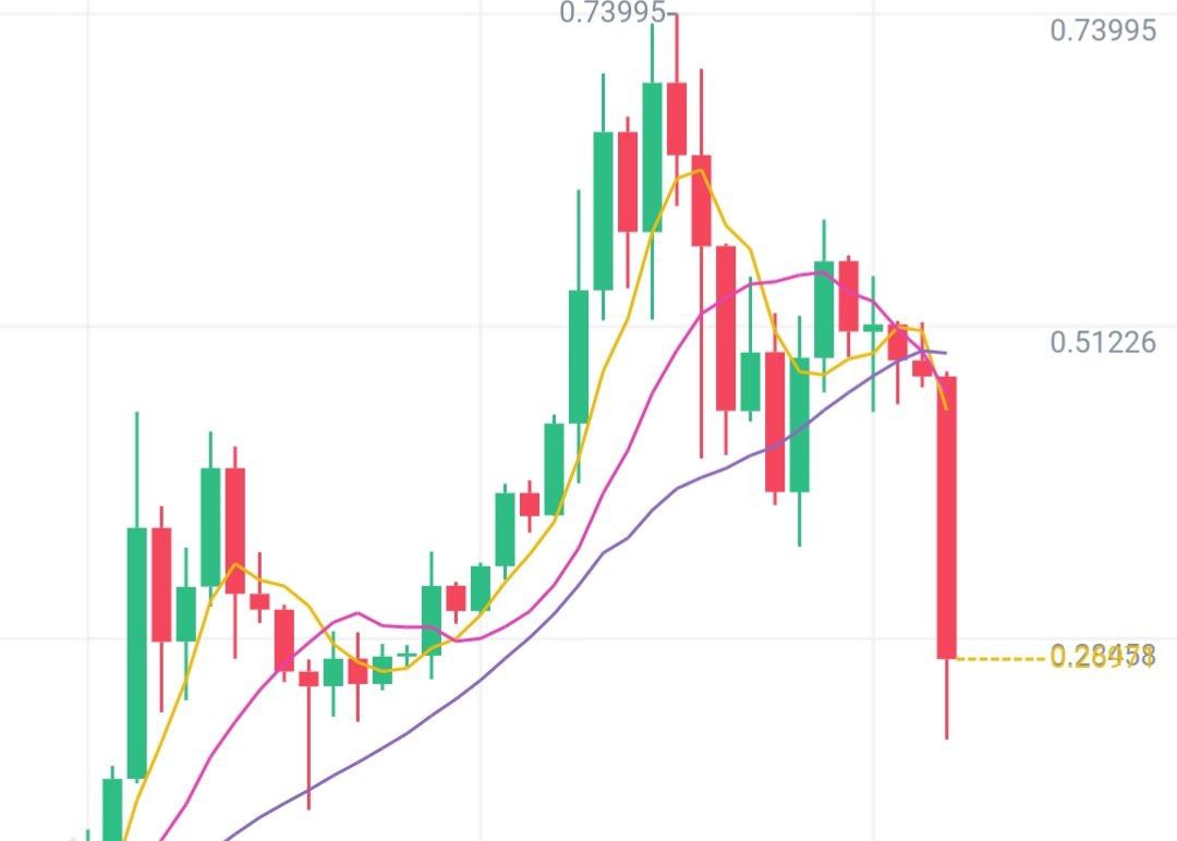 Продвигаемый Маском Dogecoin сегодня сложился на 50%, а с пиков упал в три раза