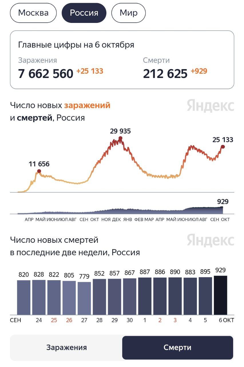 В России впервые за сутки умерли от COVID-19 более 900 человек