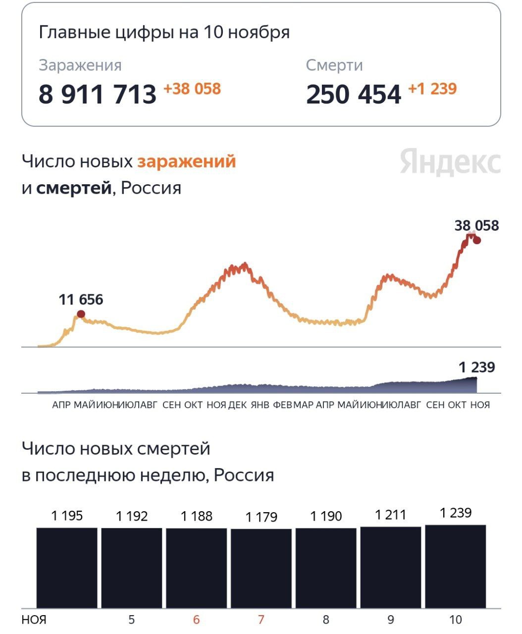 Смертность от коронавируса поставила новый рекорд - 1239 умерших за сутки