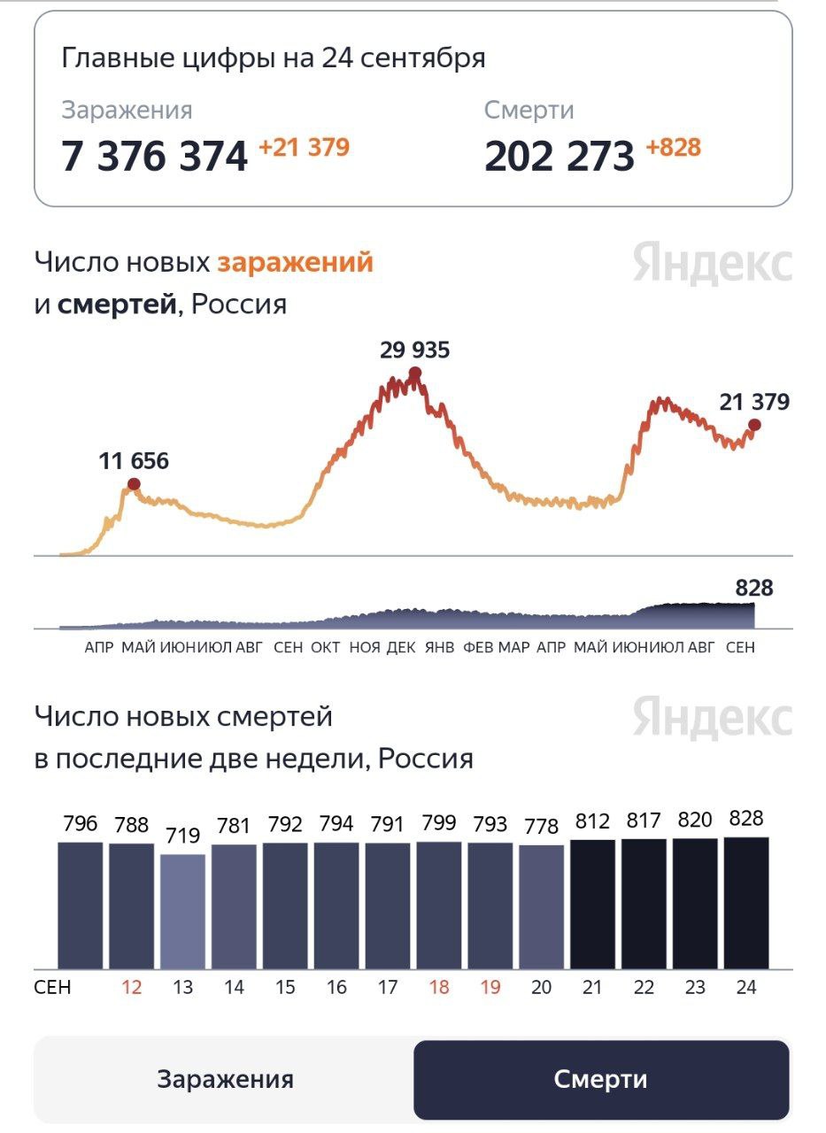 В России за сутки от COVID умерли 828 человек
