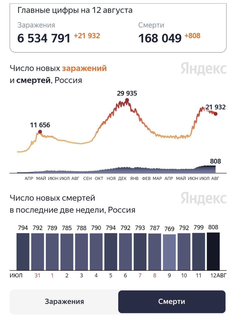 В России впервые зарегистрировали 808 смертей от COVID за сутки