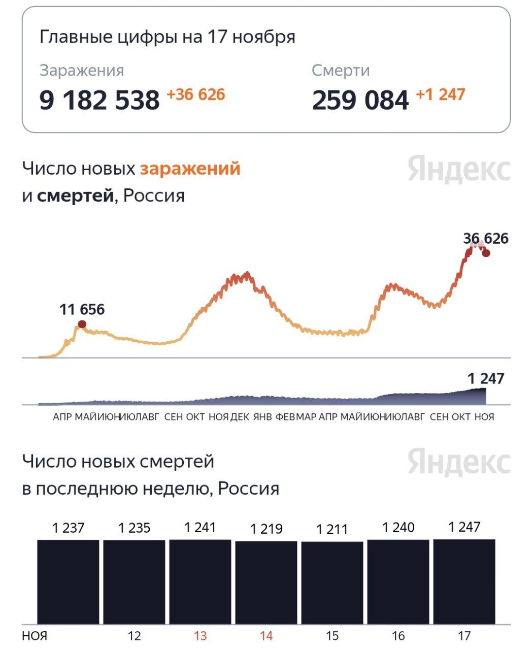 В России за сутки от COVID-19 умерли 1247 человек — это новый максимум за всю пандемию