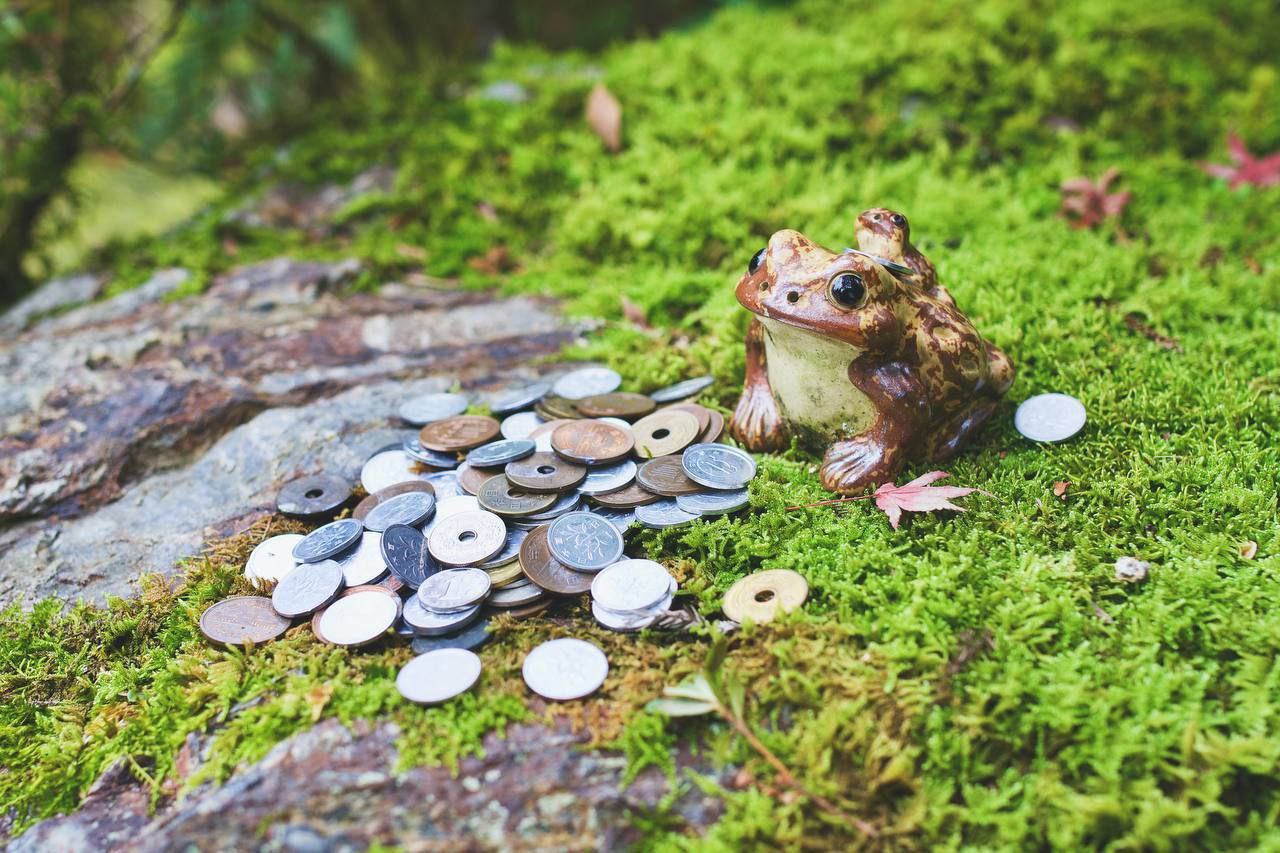 Горячее как это лето — предложение от Private Banking Банка ДОМ