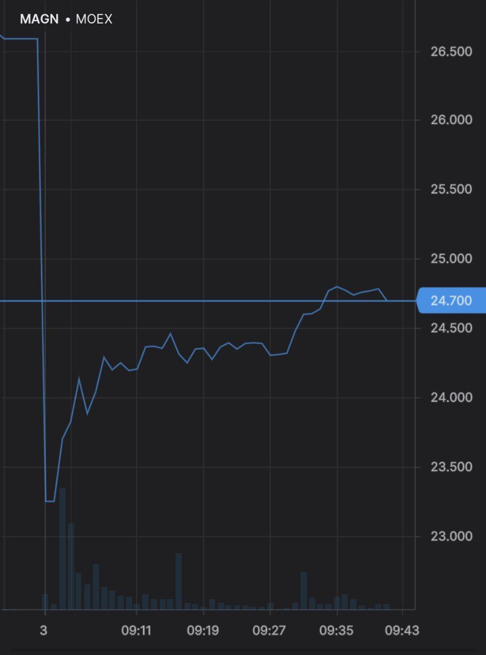 ММК отвесно падал утром на 12%, но отскочил почти на половину