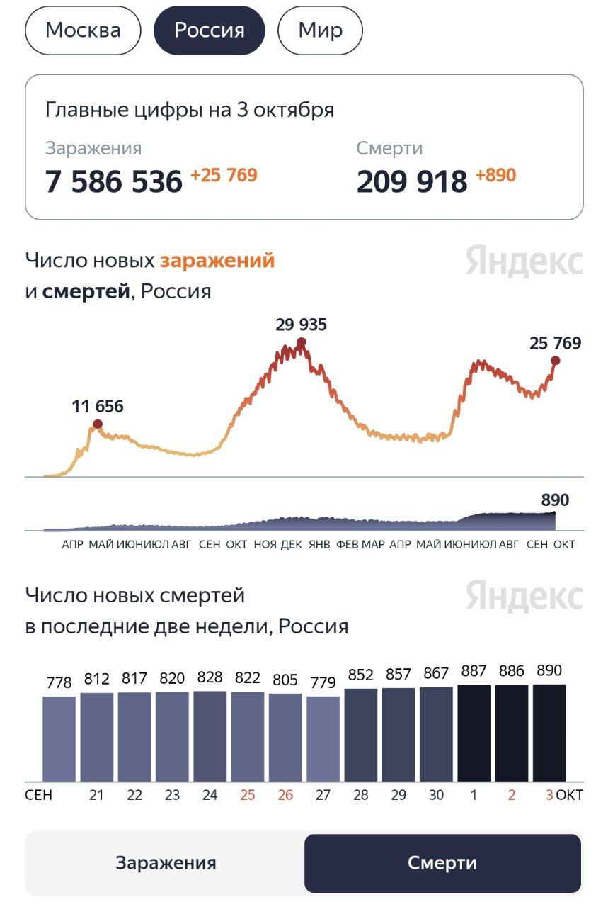 В России зафиксировали новый рекорд по суточному числу смертей от COVID