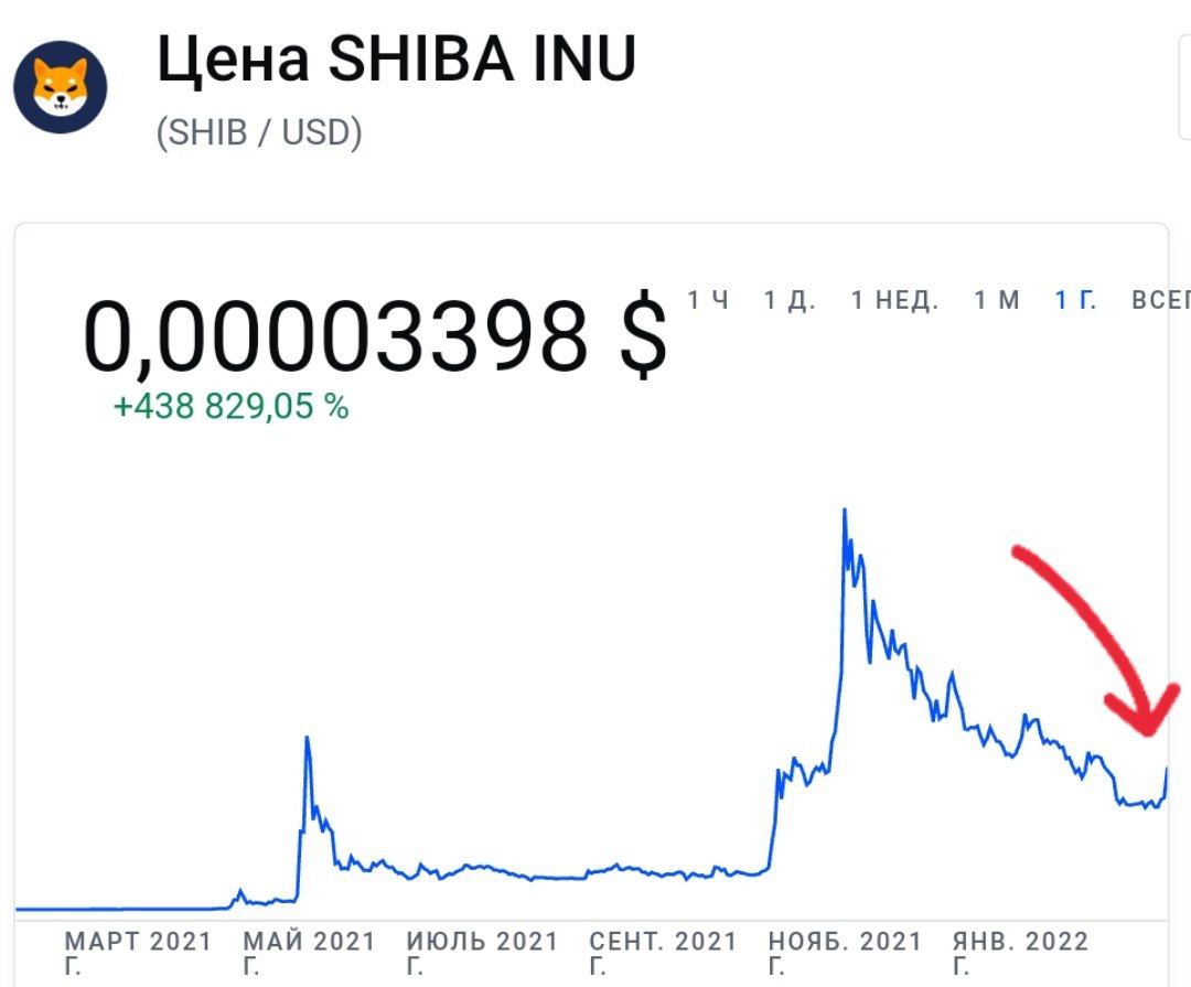 Мемная криптовалюта Shiba Inu выросла за день на 50%