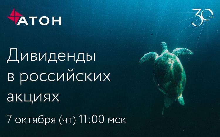 Покупка дивидендных акций – одна из лучших долгосрочных инвестиционных стратегий