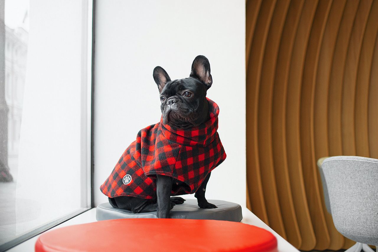 Если вы ещё не были в технологичных офисах Альфы, то вот повод сходить: независимые эксперты FINAWARD назвали их лучшими в стране 