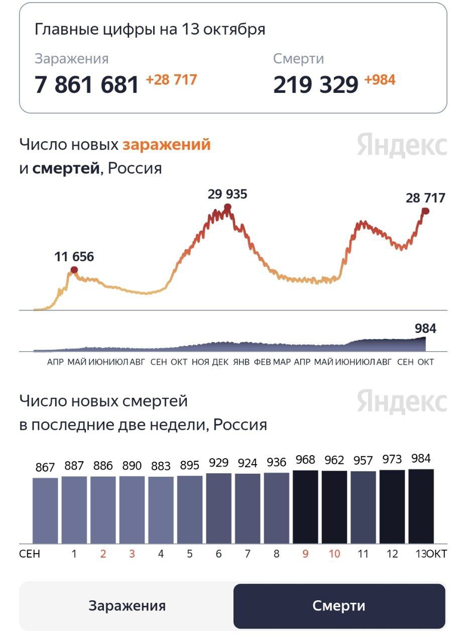В России второй день подряд зафиксировали рекорд смертей от COVID