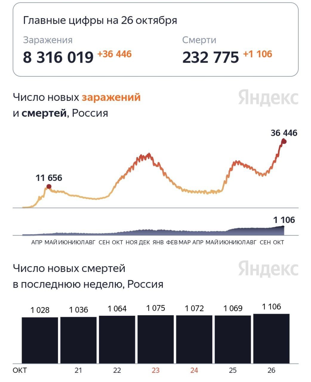 Новый антирекорд по числу погибших от коронавируса за сутки с начала пандемии — скончались 1106 человек
