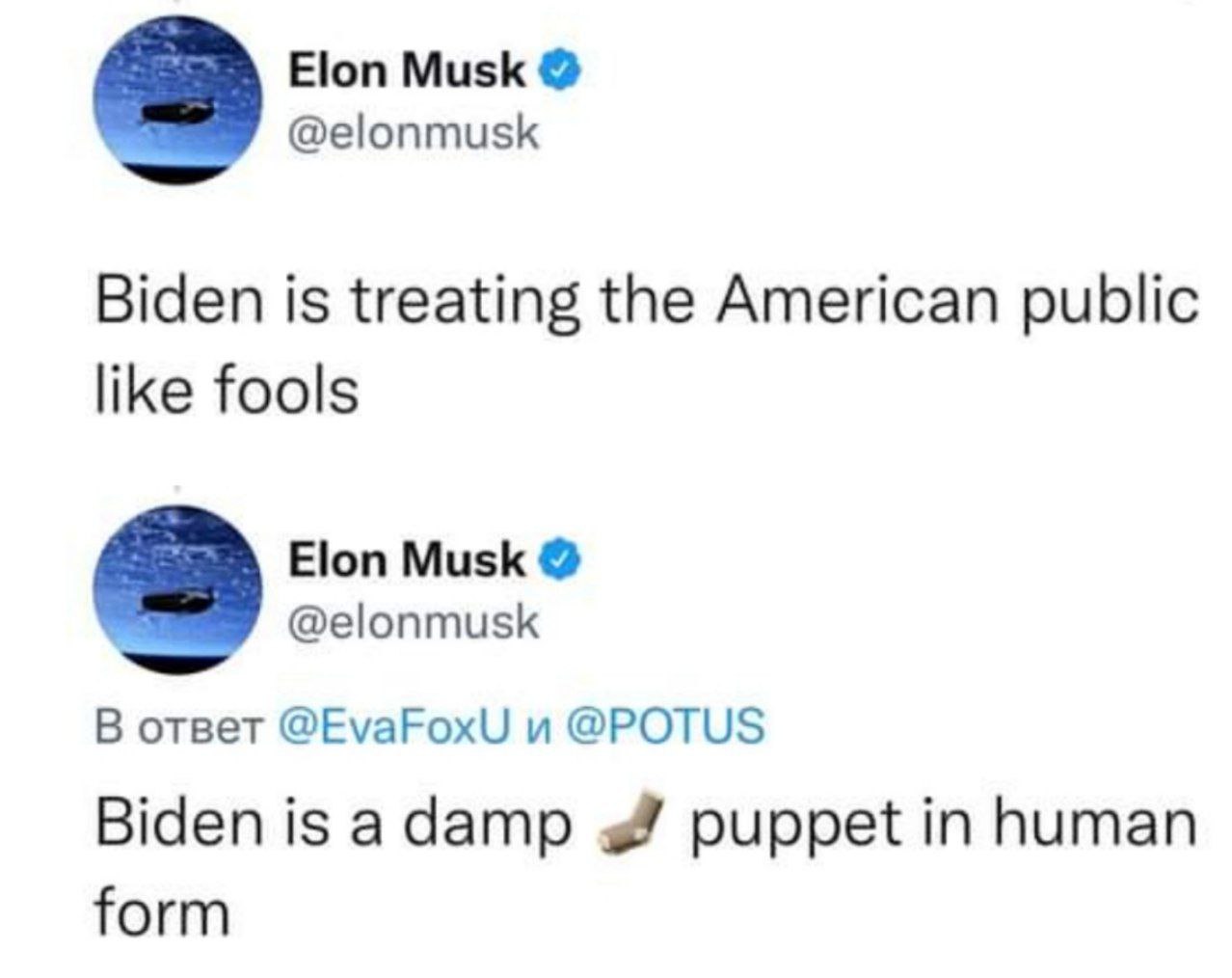 Илона Маска точно можно звать в Россию