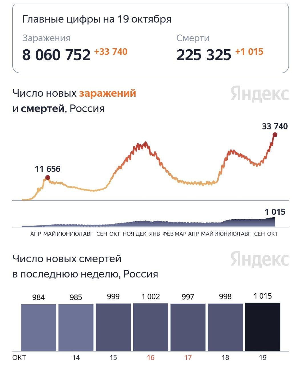 Смертность от коронавируса обновила новый максимум