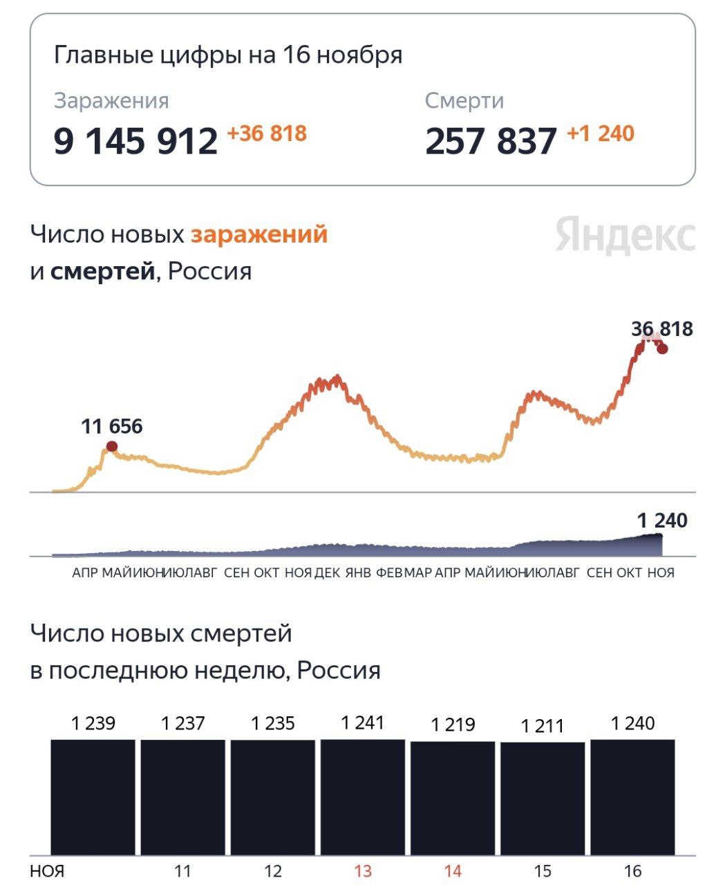 Заболеваемость коронавирусом падает, но смертность выросла