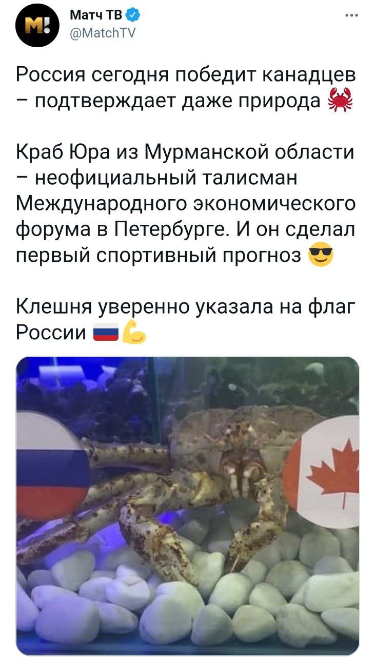 На форуме многое идет не так