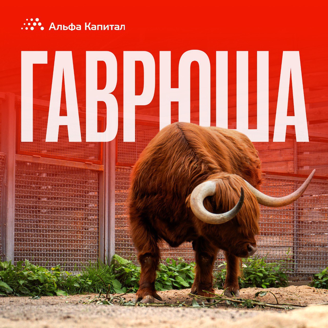 Кажется, сегодня нам всем не хватает хороших новостей