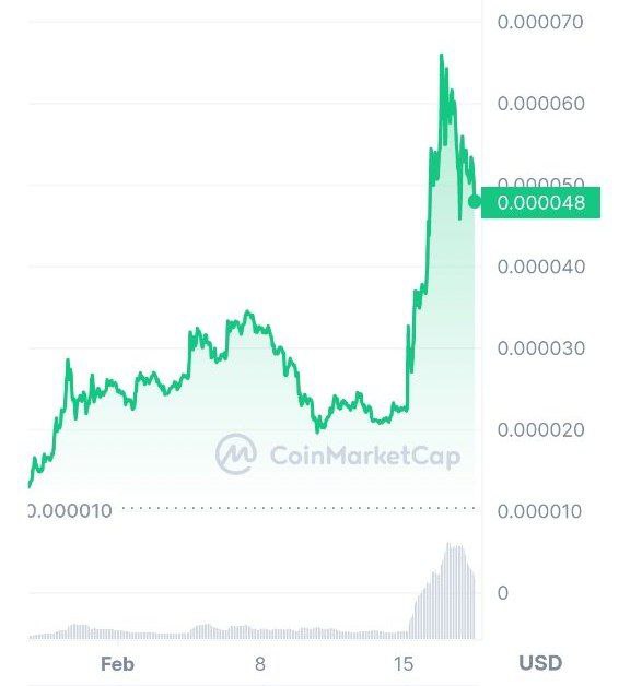 Криптовалюта-мем Floki Inu за месяц выросла на 350% благодаря твитам Илона Маска и обещания сделать его собаку Floki директором Twitter