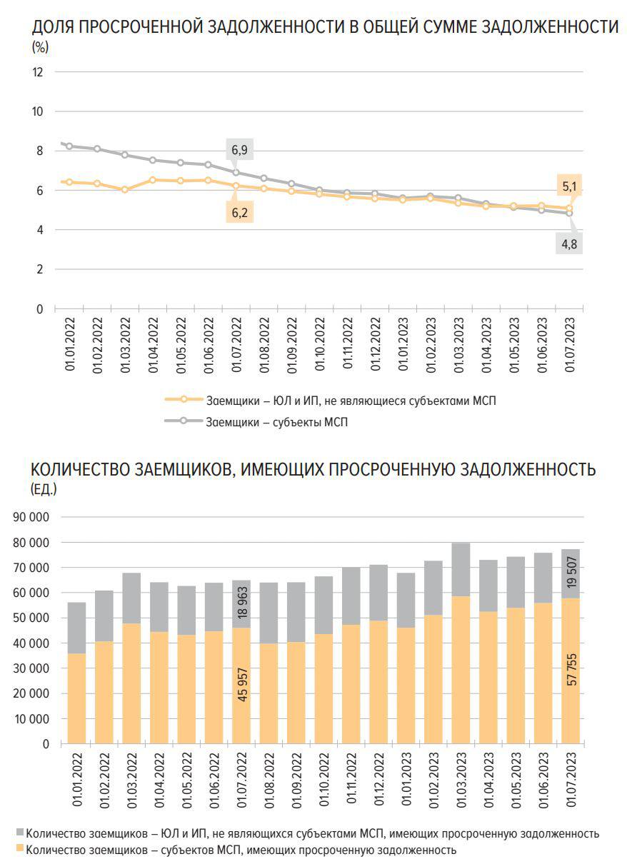 Несмотря на сокращение просроченной задолженности по кредитам, предоставленным субъектам МСП, на 0,3% (до 553 млрд