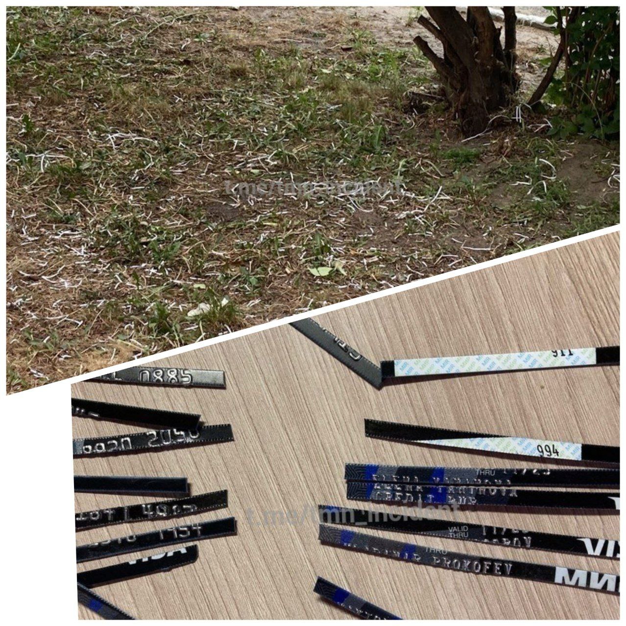 В Тюмени банкстеры утилизировали карты ВТБ прямо в сквере