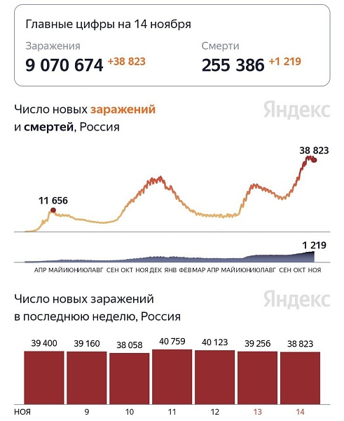 Коронавирус чуть отступает