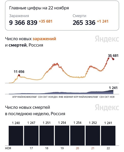 Смертность от коронавируса продолжает держаться на прежнем уровне